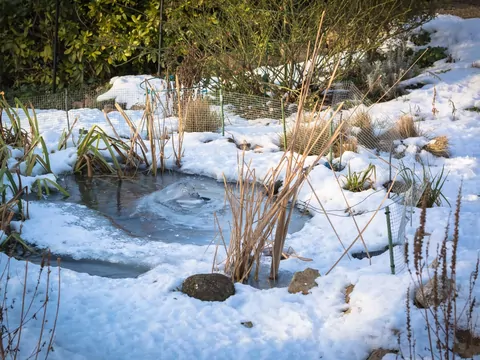 Lutowe prace na działce i w ogrodzie