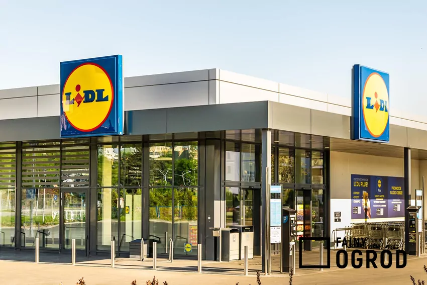 Lidl