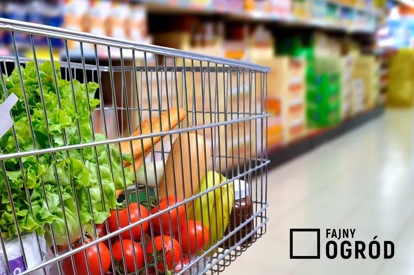 Wózek z zakupami w sklepie