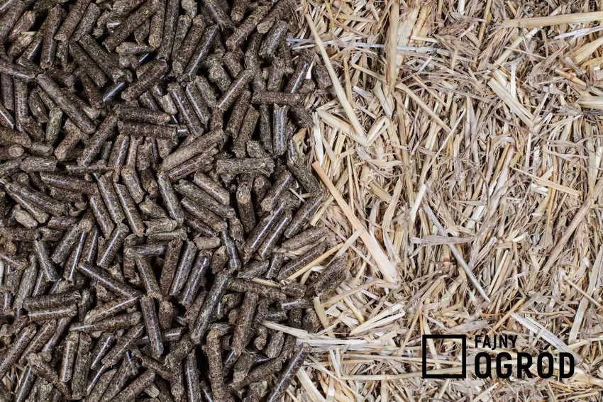 pellet ze słomy