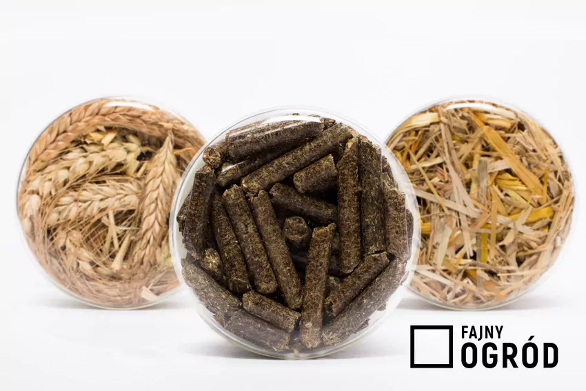 pellet, słoma, zboże