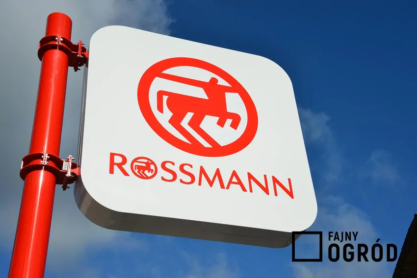 Rossmann