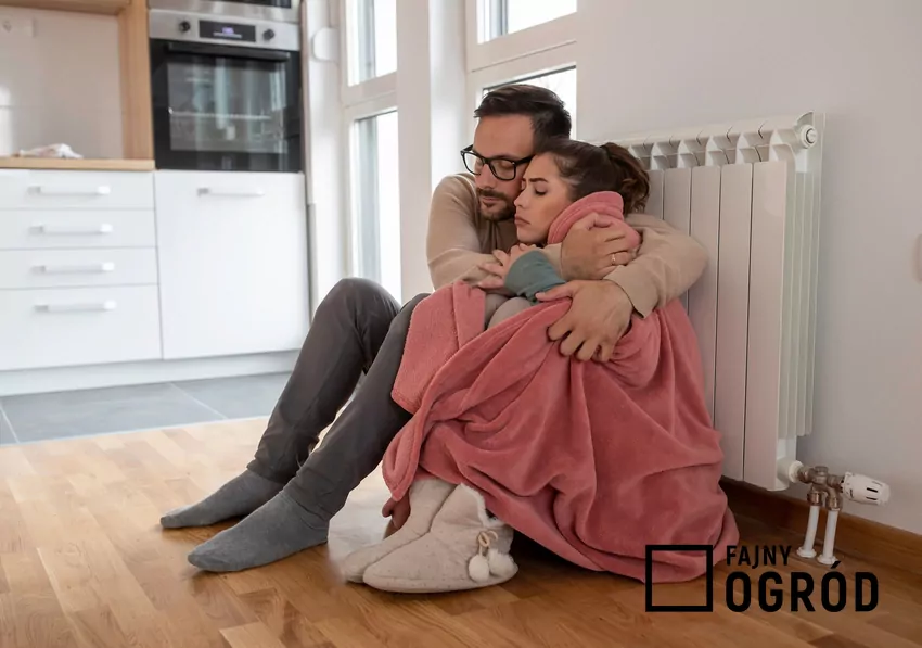 zmarznięta para na podłodze