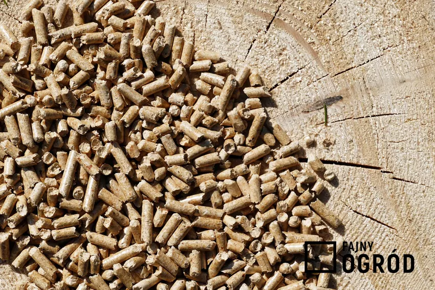 Z powodu produkcji pelletu nie zostaje wycięte ani jedno drzewo