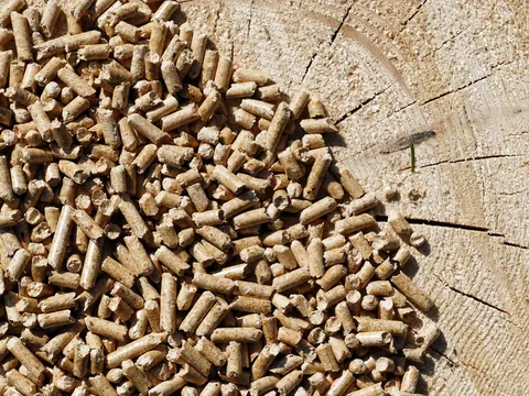 Drewno opałowe vs. pellet drzewny