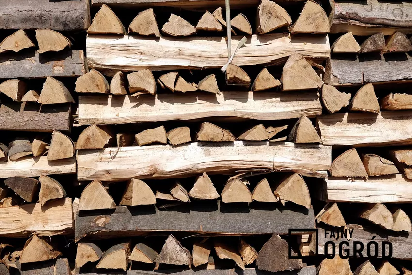 Drewno opałowe wymaga odpowiedniego sezonowania oraz magazynowania