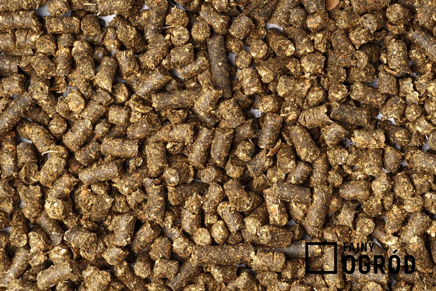 Łuski słonecznika zamiast pelletu