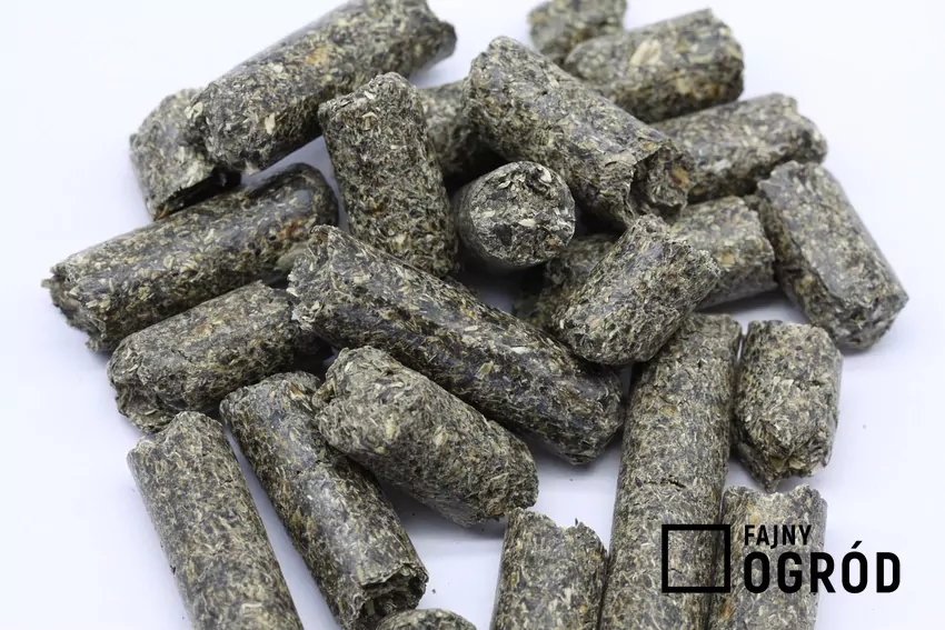 Pellet z łusek słonecznika