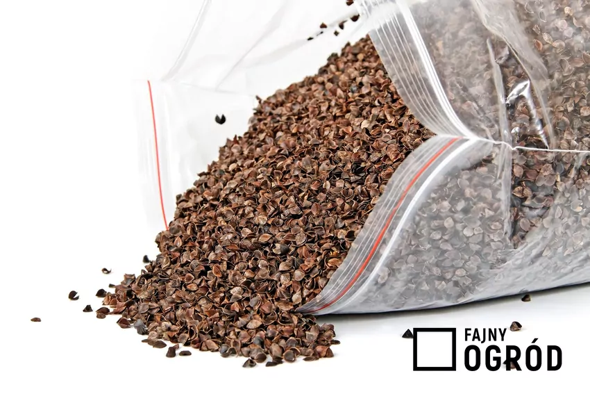 Łuski gryki w worku