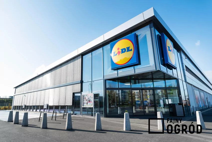 Przegląd gazetki Lidla z dn. 12-14.02 Lidl