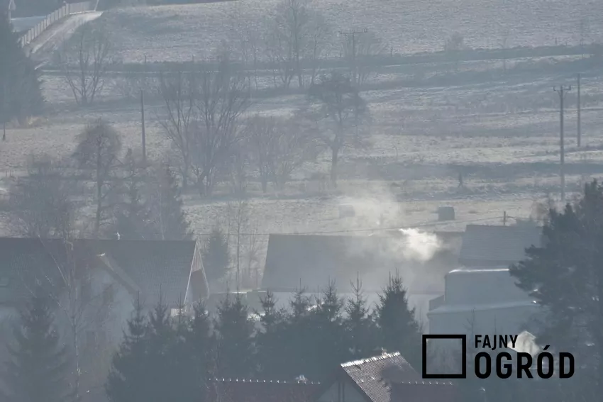 Niska jakość pelletu – wysoka wilgotność, duża zawartość popiołu lub zanieczyszczenia w składzie – prowadzi do niepełnego spalania i wzrostu emisji pyłów oraz tlenku węgla Dym nad domami