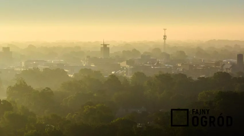 O realnym wpływie ogrzewania na jakość powietrza decyduje nie jeden element, lecz ich połączenie Zanieczyszczone powietrze nad miaste,
