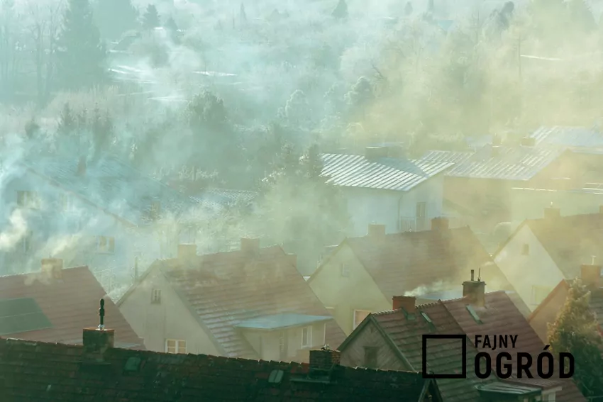 Największym problemem pozostają drobne frakcje pyłu PM10 i PM2,5 Smog nad domami