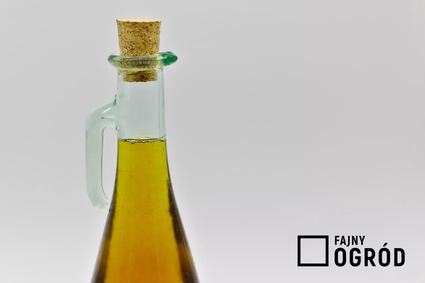 Butelka z oliwą
