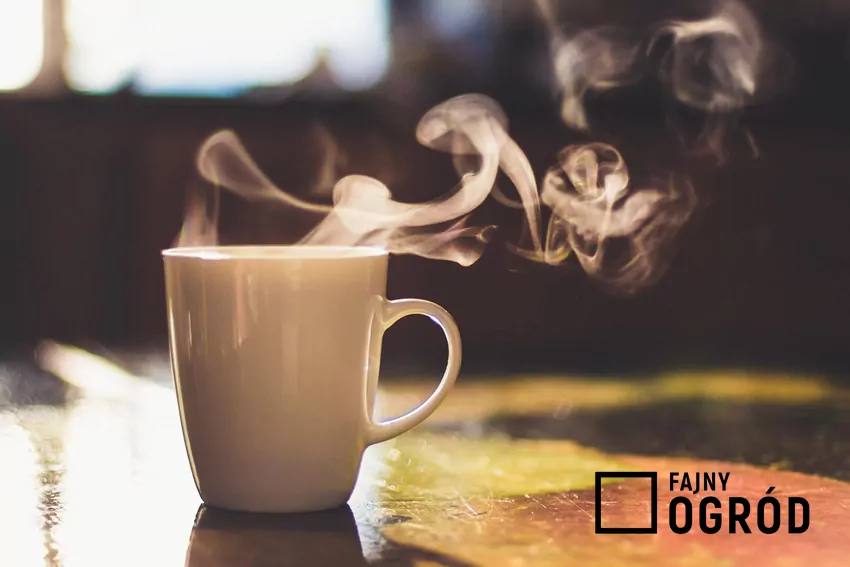 Kawa zaparzona w kubku