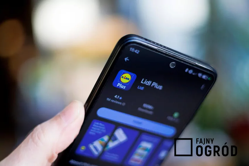Aplikacja w telefonie - Lidl Plus