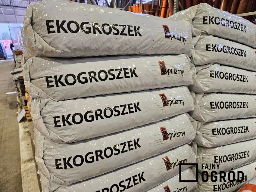 ekogroszek workowany