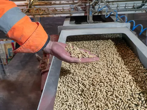 Rekordowe ceny pelletu w lutym 2026