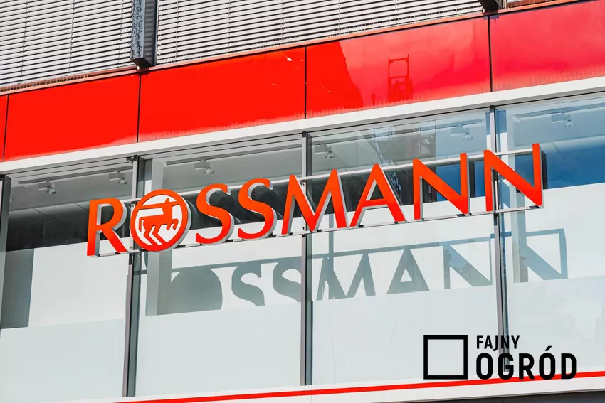 W nowej gazetce Rossmanna dużo ciekawych promocji Rossmann