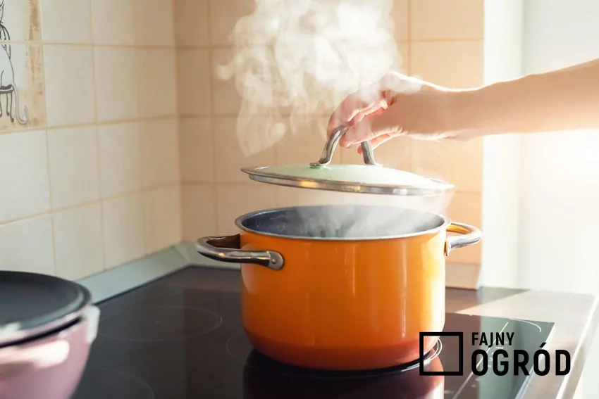 Opanowanie kipiących potraw nie wymaga specjalnych umiejętności Kobieta gotująca wodę