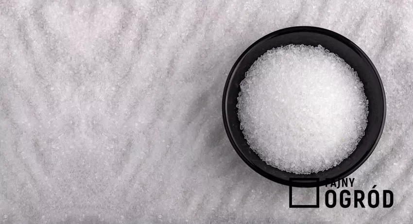 Sól gorzka jest siarczanem magnezu w postaci przypominającej sól kuchenną Sól gorzka jest stosowana w ogrodzie do uzupełnienia niedoboru magnezu w glebie