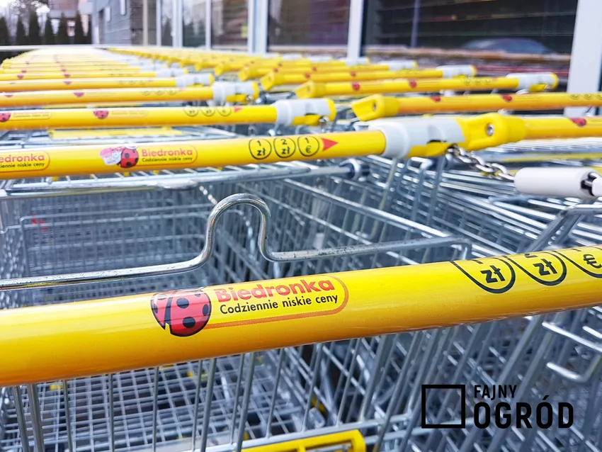 Koszyki w Biedronce