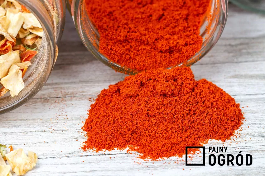 W domach jednorodzinnych sprawdza się m.in. proszek chili Proszek chili