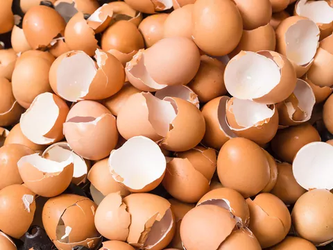 Domowy nawóz ze skorupek