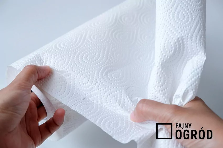 Jeden arkusz ręcznika papierowego wystarczy, by zmywanie przestało być męczącym obowiązkiem Biały ręcznik kuchenny