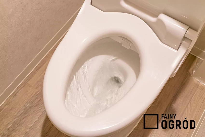 Sposób na kamień w toalecie