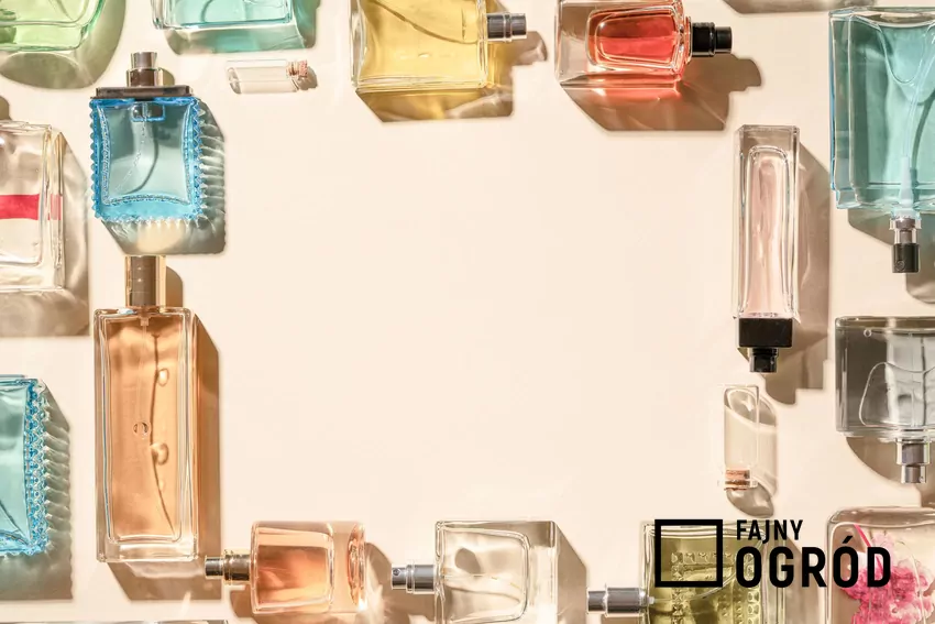Jeżeli posiadasz większą kolekcję zapachów, dobrze jest rotować ich użycie Kolorowe perfumy