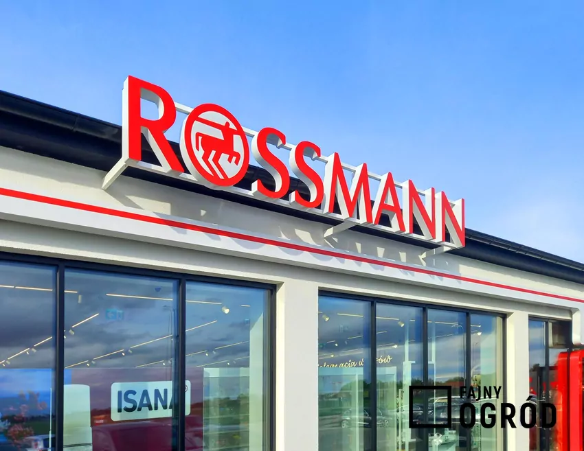 W nowej gazetce Rossmanna dużo ciekawych promocji Rossmann