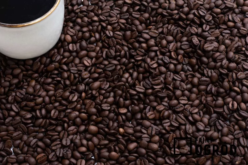 Fusy od kawy do produkcji pelletu