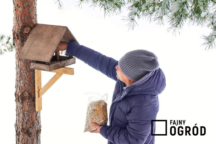 Mężczyzna dokarmia ptaki