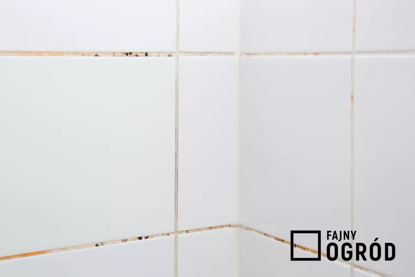 Sposób na czyste fugi