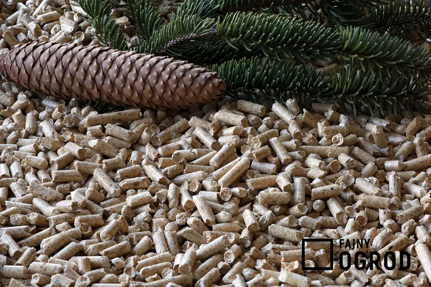 Zakup taniego pelletu bez certyfikatu może się okazać oszczędnością pozorną