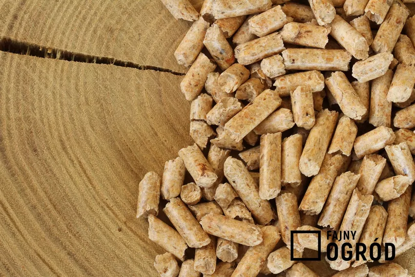 Do produkcji wysokiej klasy pelletu używa się czystego drewna bez kory i zanieczyszczeń