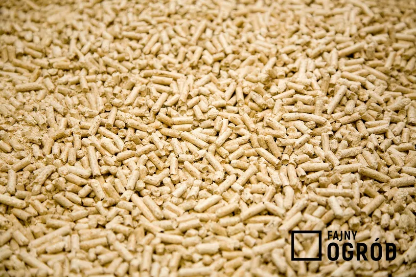 Certyfikaty gwarantują wysoką jakość pelletu