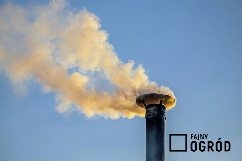Przyczyną nadmiernego dymienia jest zwykle niewłaściwe paliwo
