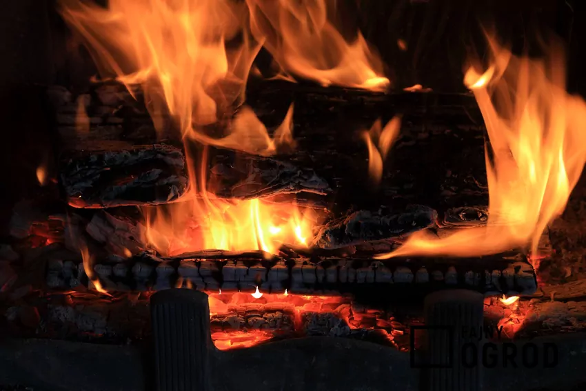 Wilgotne drewno w trakcie spalania wydziela niebezpieczne substancje palące się drewno