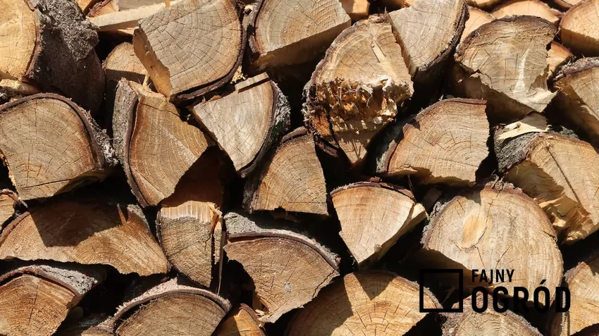 Drewno sprzedawane w marketach jest drogie i nie najlepszej jakośćo drewno opałowe, drewno kominkowe