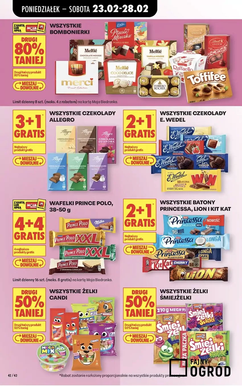 Promocje w Biedronce