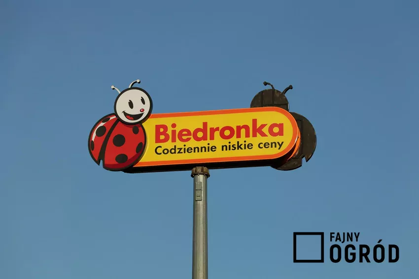 Biedronka