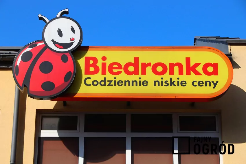 Biedronka