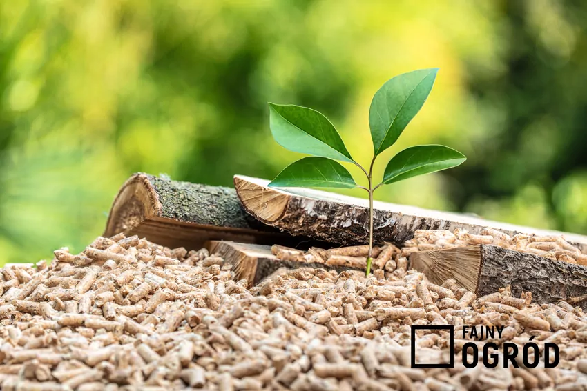 Sprawdzamy, czym jest agro pellet pellet