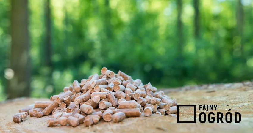 Na zużycie pelletu ma wpływ nieodpowiednie ustawienie temperatury w pomieszczeniach