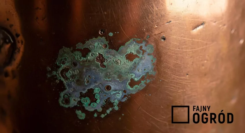 Rekordowe ceny miedzi: sprawdzamy prognozy miedź