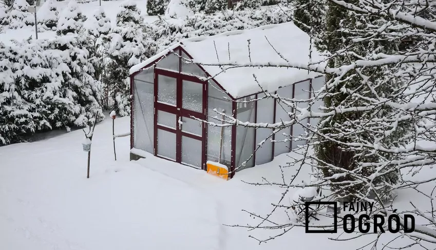 Czyszczenie szklarni należy połączyć z konserwacją i naprawą elementów