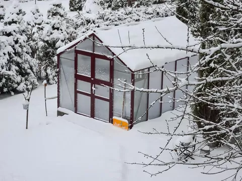 Czyszczenie szklarni ogrodowej