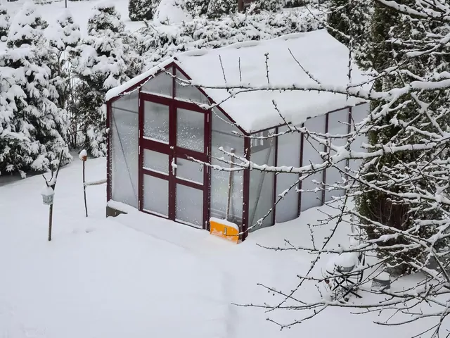 Czyszczenie szklarni ogrodowej